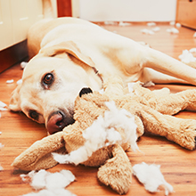 Small manufacture image 5