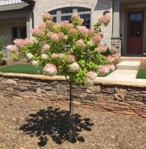 Small manufacture image 11