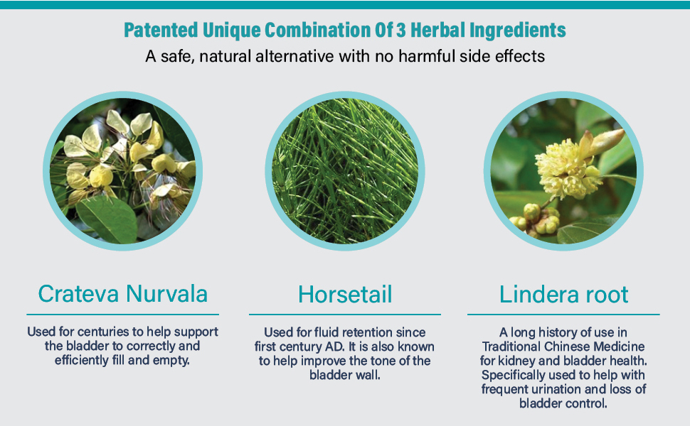 Herbal Ingredients