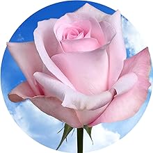 recycle sustainable earth world habitat donate forest recycle USA print