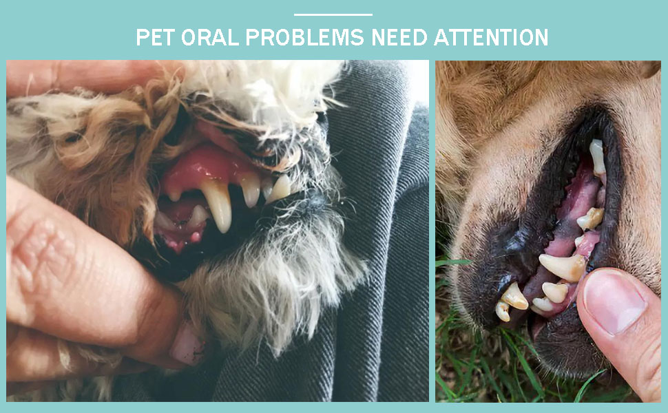 onebarleycorn Pet Dental Finger Brush for Dogs Cats,Pet Tooth Cleaner