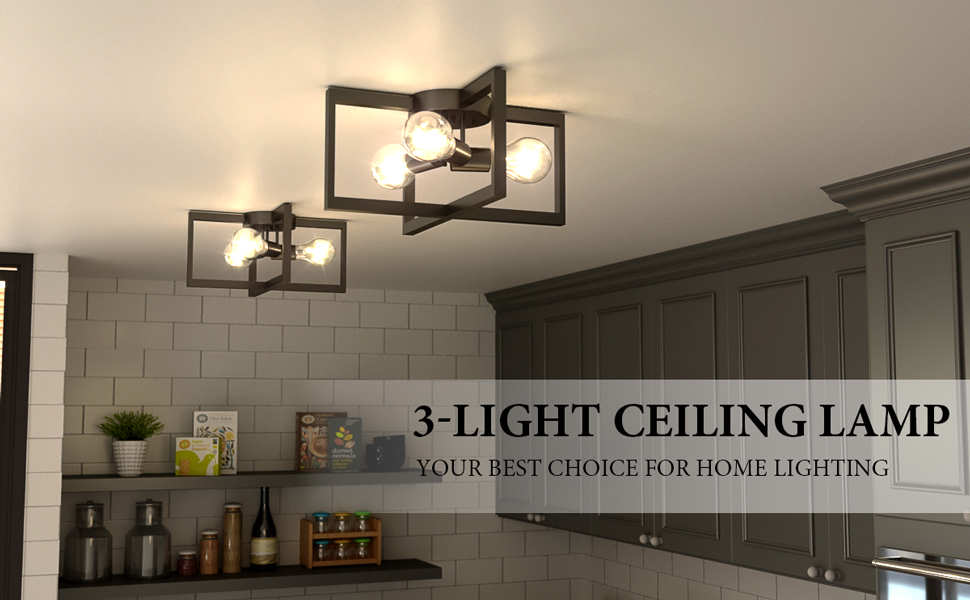 3 light ceiling light