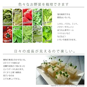 LED 植物育成ライト グロウライト ファンレス 薄型設計 ピカキュウ90cm Amazon.co.jp: LEDのピカキュウ グロウライト ファンレス 薄型