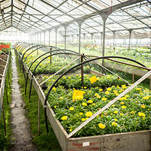 Bahçe sulama sistemi