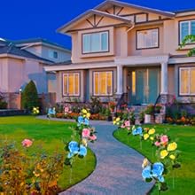 Solar Lights Outdoor