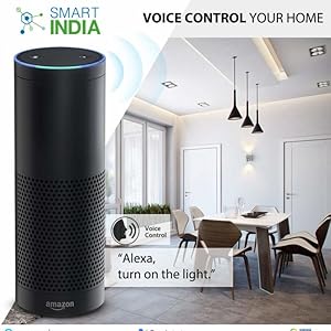 voice control
