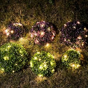 Decoration your garden