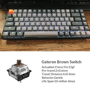 Gateron Brown Switch