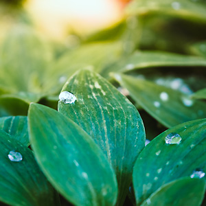 mothermade mother made skincare korean face sheet mask hydrojelly snail jelly facial holiday gifts