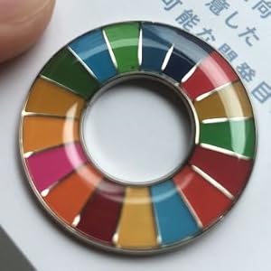 Amazon.co.jp: 【5個セット】SDGsバッジ 国連正規品 ミラー