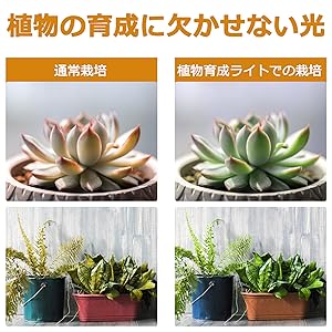 Amazon.co.jp: NARRNA 【最新型】植物育成ライト LED植物育成灯
