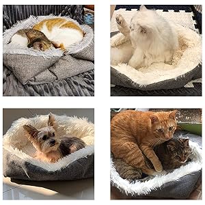 Pet Bed for Cat Small Dogs