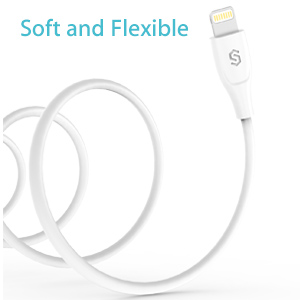 iphone x se 5 6 7 8 plus charger