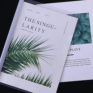 スライドファイル 10冊パック A4 白