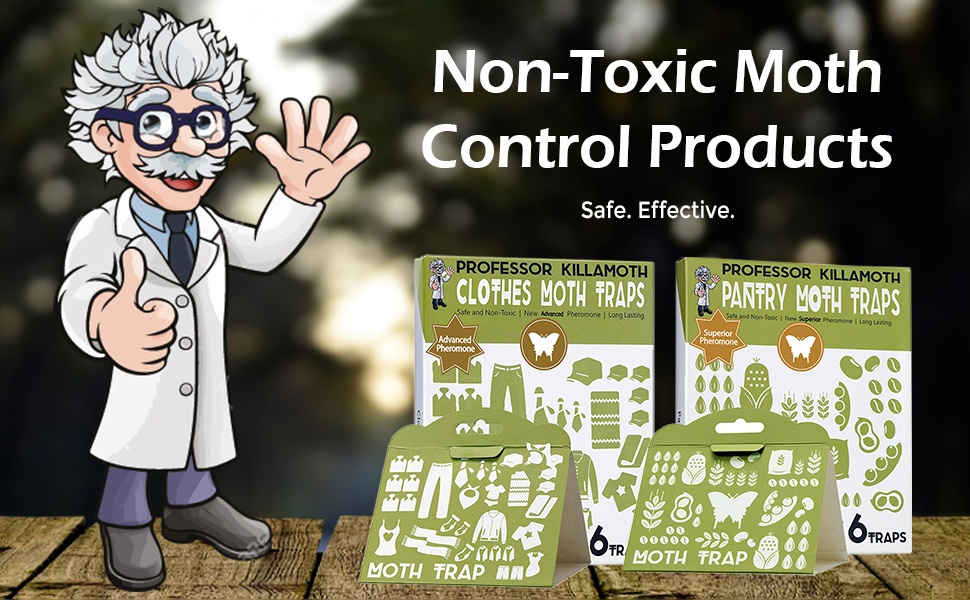 Clothes Moth Traps 6 Pack Child and Pet Safe No