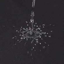 waterproof membrane dog bed