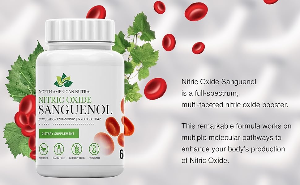 Nitric Oxide Sanguenol Nitric Oxide Booster Supplement