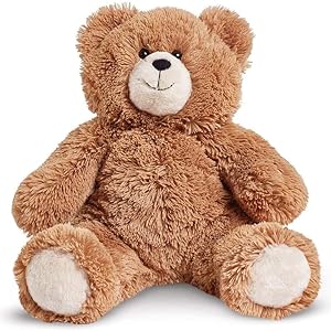 brown teddy bear on white background