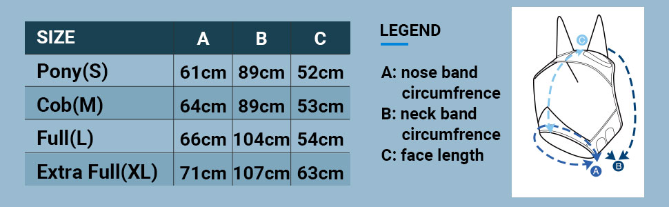 Élément de décoration :
