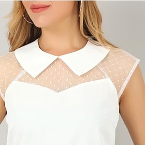 Allegra K Women's Mesh Semi Sheer Work Office Top Peter Pan