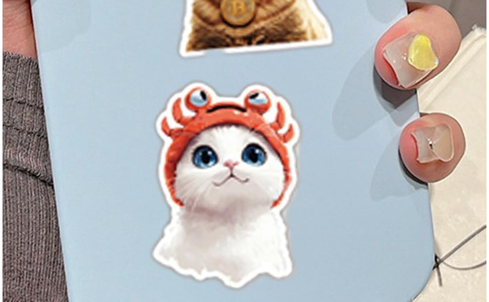 Cat Meme Stickers