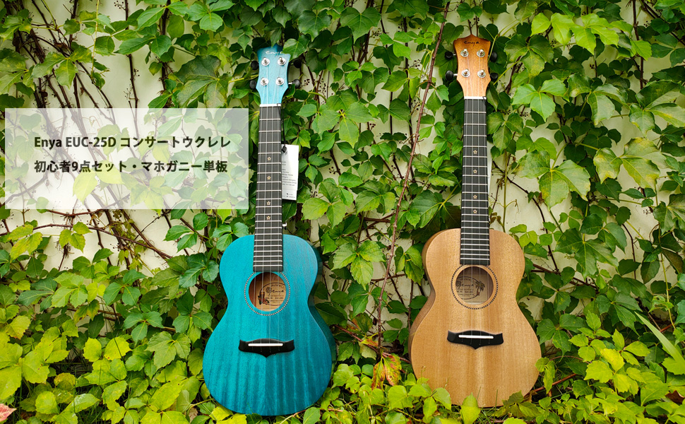Amazon.co.jp Enya Concert Ukulele EUC25D Mahogany Veneer Ukulele