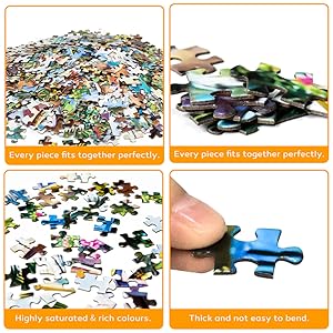 1000 piece jigsaw puzzle for adults and teens