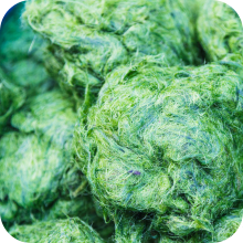 Spirulina Powder