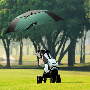 umbrella large automatic