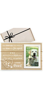 cat dog memorial