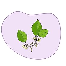 tea tree oil