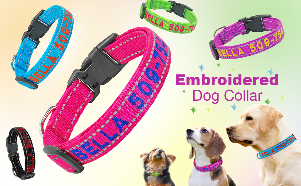 Didog Personalized Embroidered Dog Collar with Pet Name