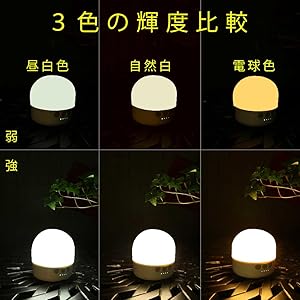 三色輝度比較