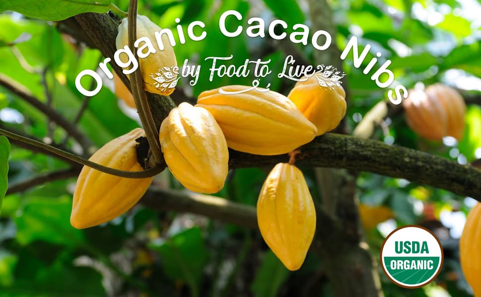 Organic Cacao Nibs, 8 Ounces Unsweetened, NonGMO, Kosher, Raw, Vegan
