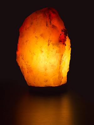 Salt Rock Lamp Bulb 10 Pack + 2 Free 15 Watt Replacement Bulbs for Himalayan Salt Lamps & Baskets, 