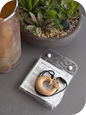 chewy necklaces necklace teether shark chew autism chewie chew teether stim chew bite necklaces