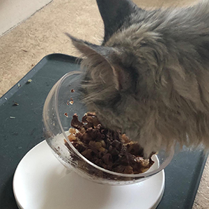 Small manufacture image 8