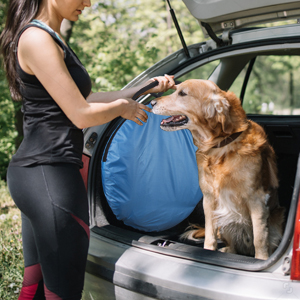 portable tent