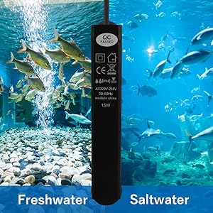 fresh water salt water