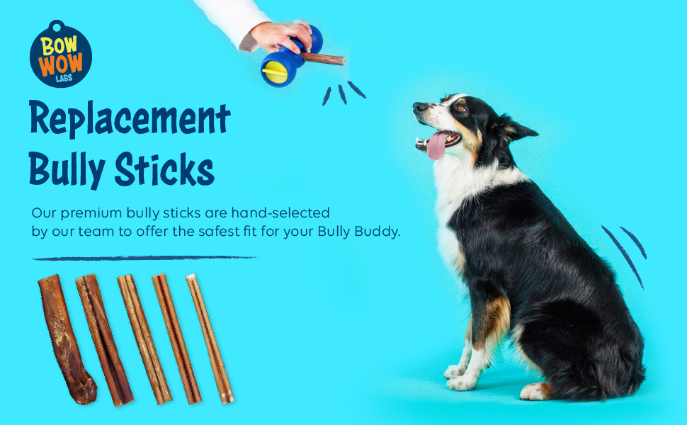 Bow Wow Labs 6" Bully Sticks 10 Pack (Midsize) Pet Supplies