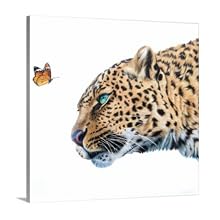 Canvas Staling