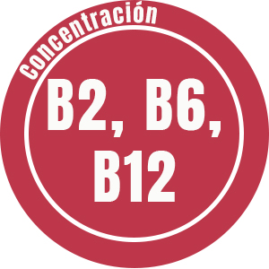  vitamina B conexiones neuronales produccion  globulos rojos estudiante mejora la memoria