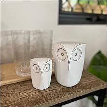 Kitchen counter dining table living room shelf owl decorations hand-crafted owl rustic patio zen two