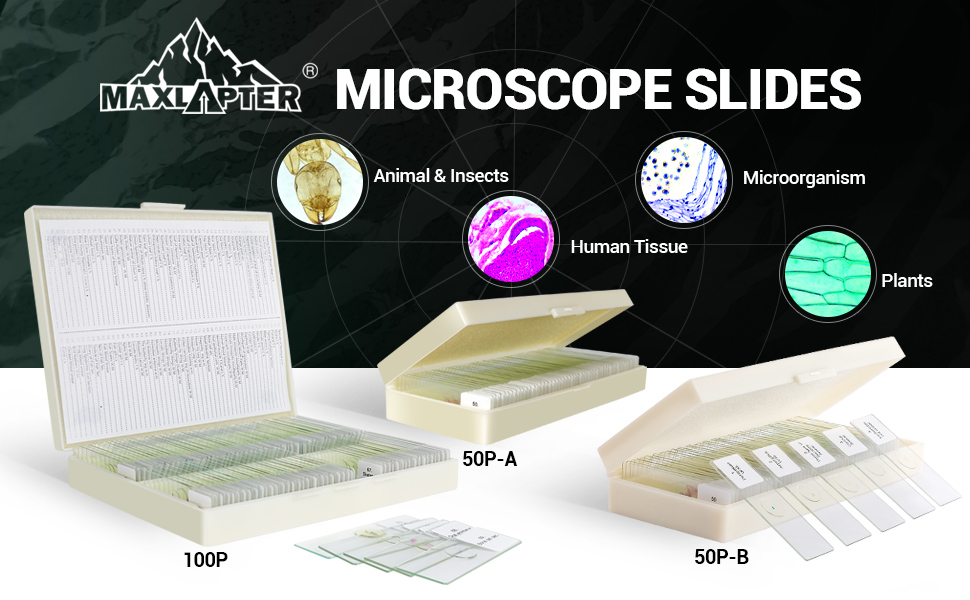 50Pcs Prepared Microscope Slides Set Professional Grade Specimens for