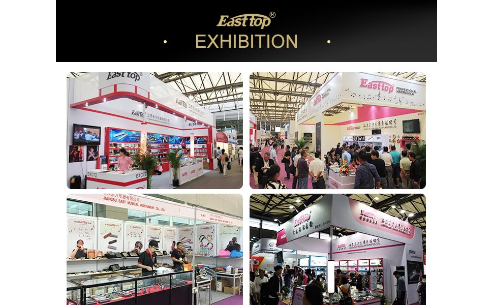 East top Advanced Diatonic Blues Harmonica set of 12, 10