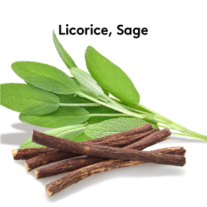 Licorice Sage