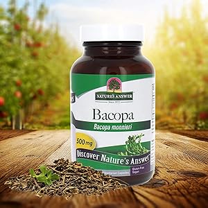 Bacopa Standardized Vegetarian Capsules