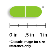 Solaray Kelp 550 mg with Folic Acid for Healthy Thyroid Function Energy Metabolism Support Non-GMO