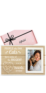 Cat Lover