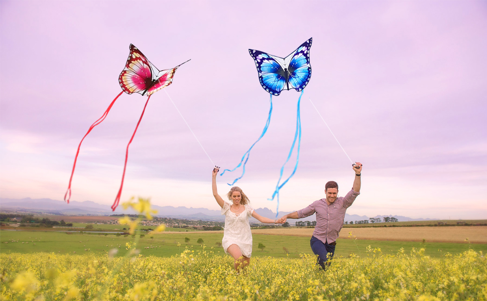Kites for Adults